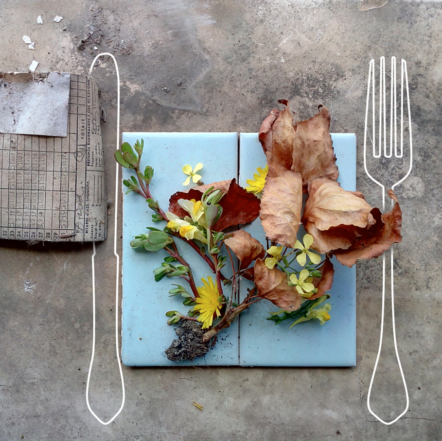 Schermata 2017-10-08 alle 14.12.58