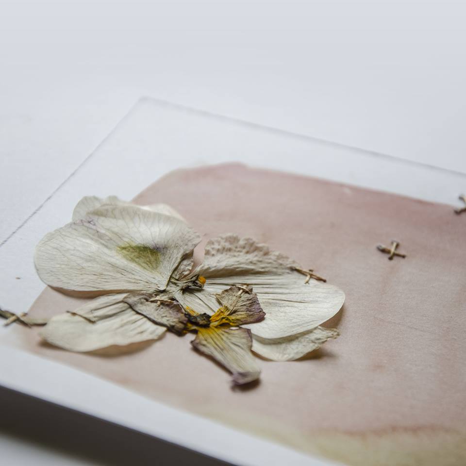 14666213_348407738835727_3968961232474608290_n