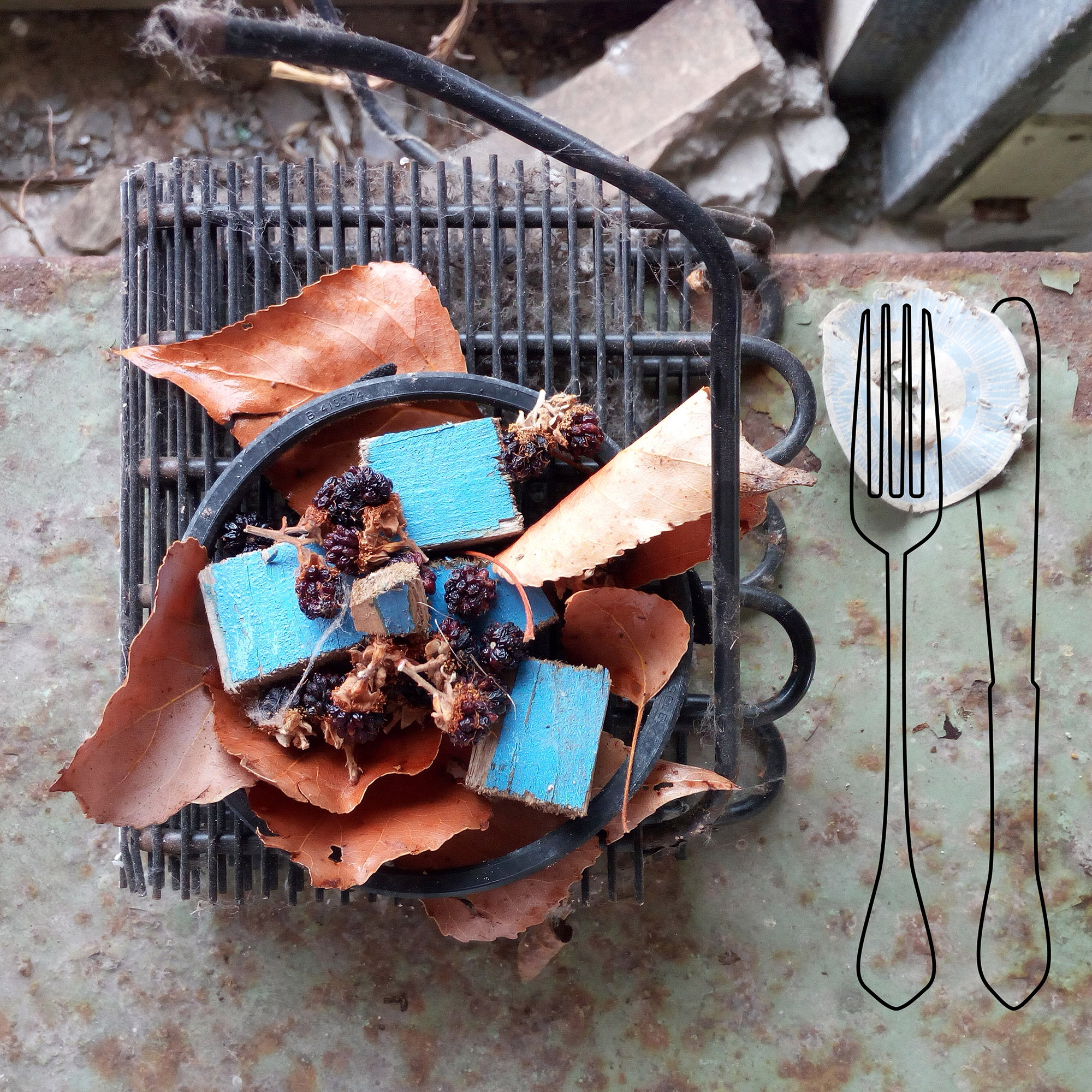 IMG_20170820_111101_