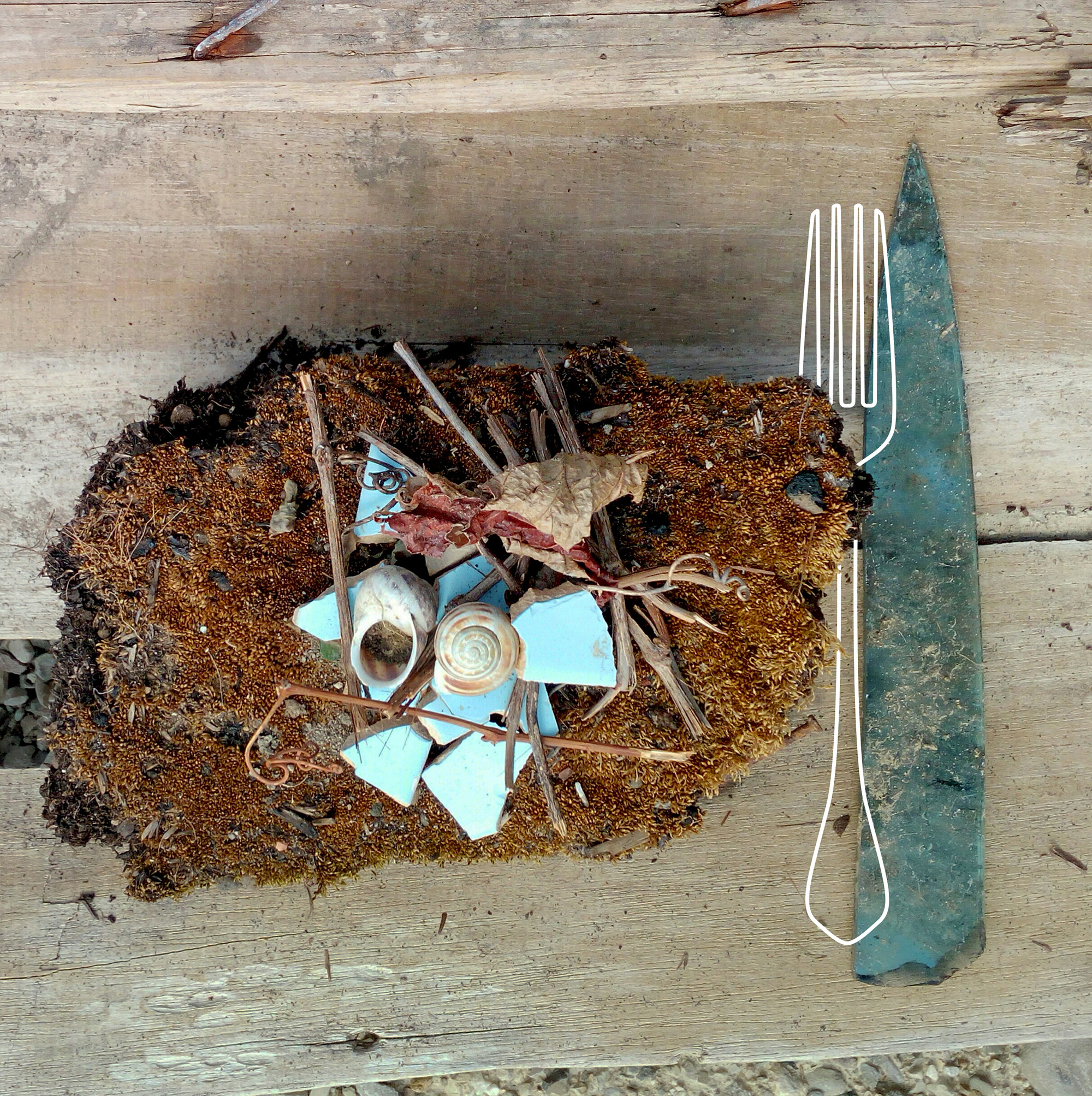 Lumache umido|secche