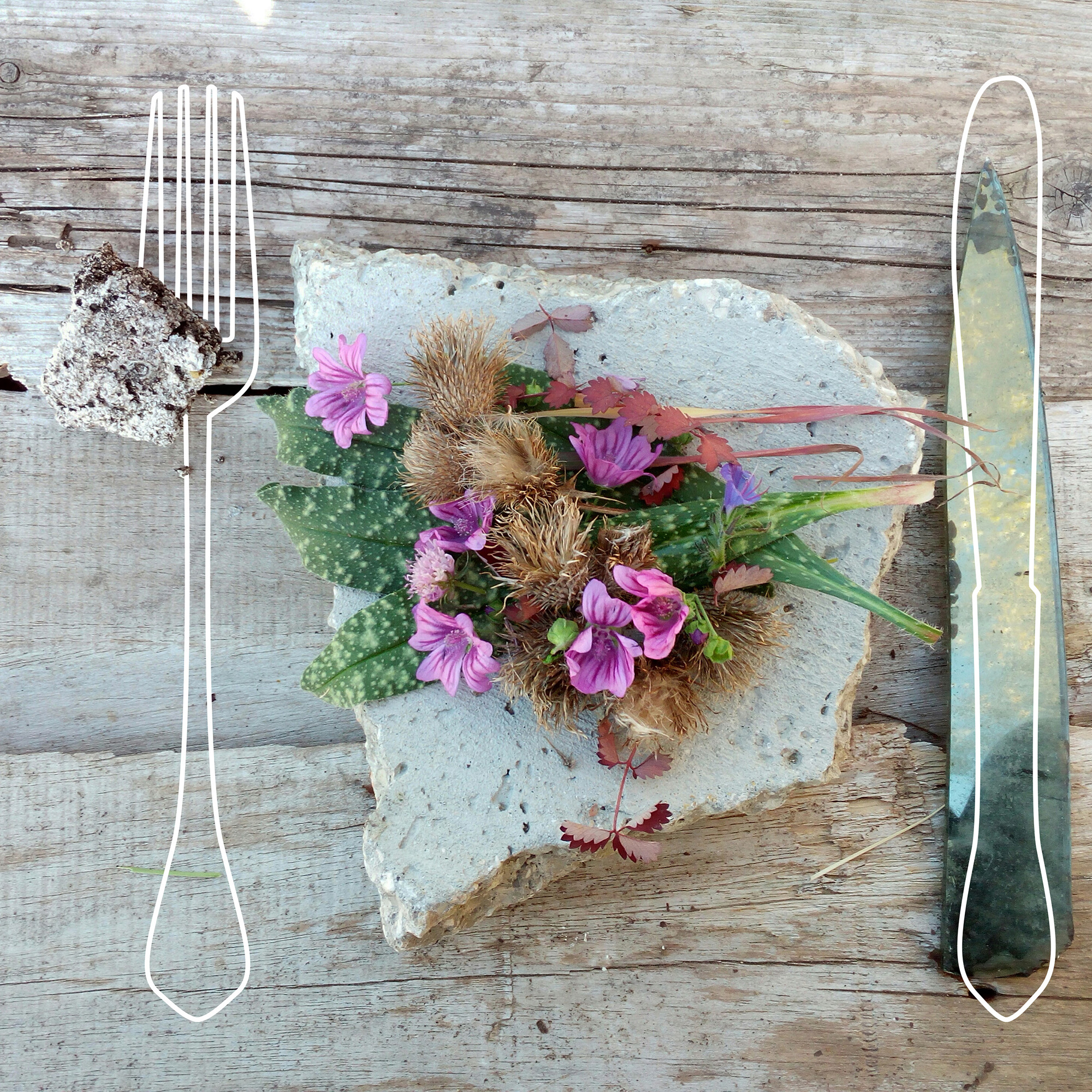 Insalatina di erbe spontanee