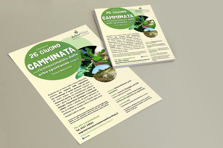 MokeUp-miei-A4eA5_001