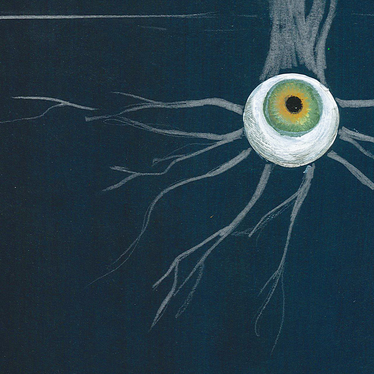 bulbo pianta occhio_B