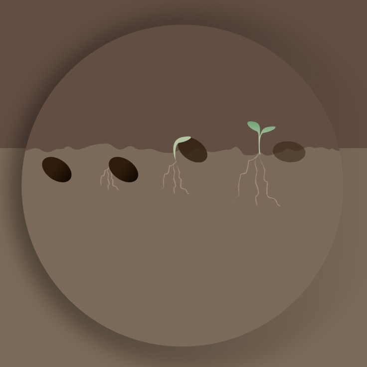 Illu pro•getto_intera_SEME