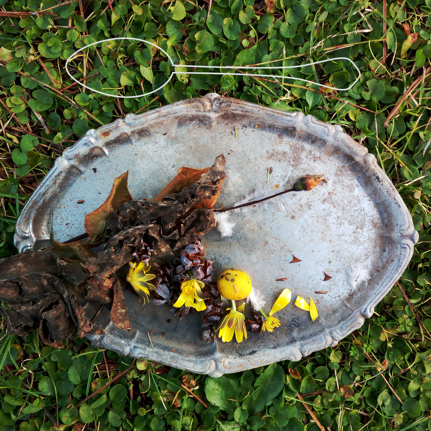 IMG_20171224_104927__