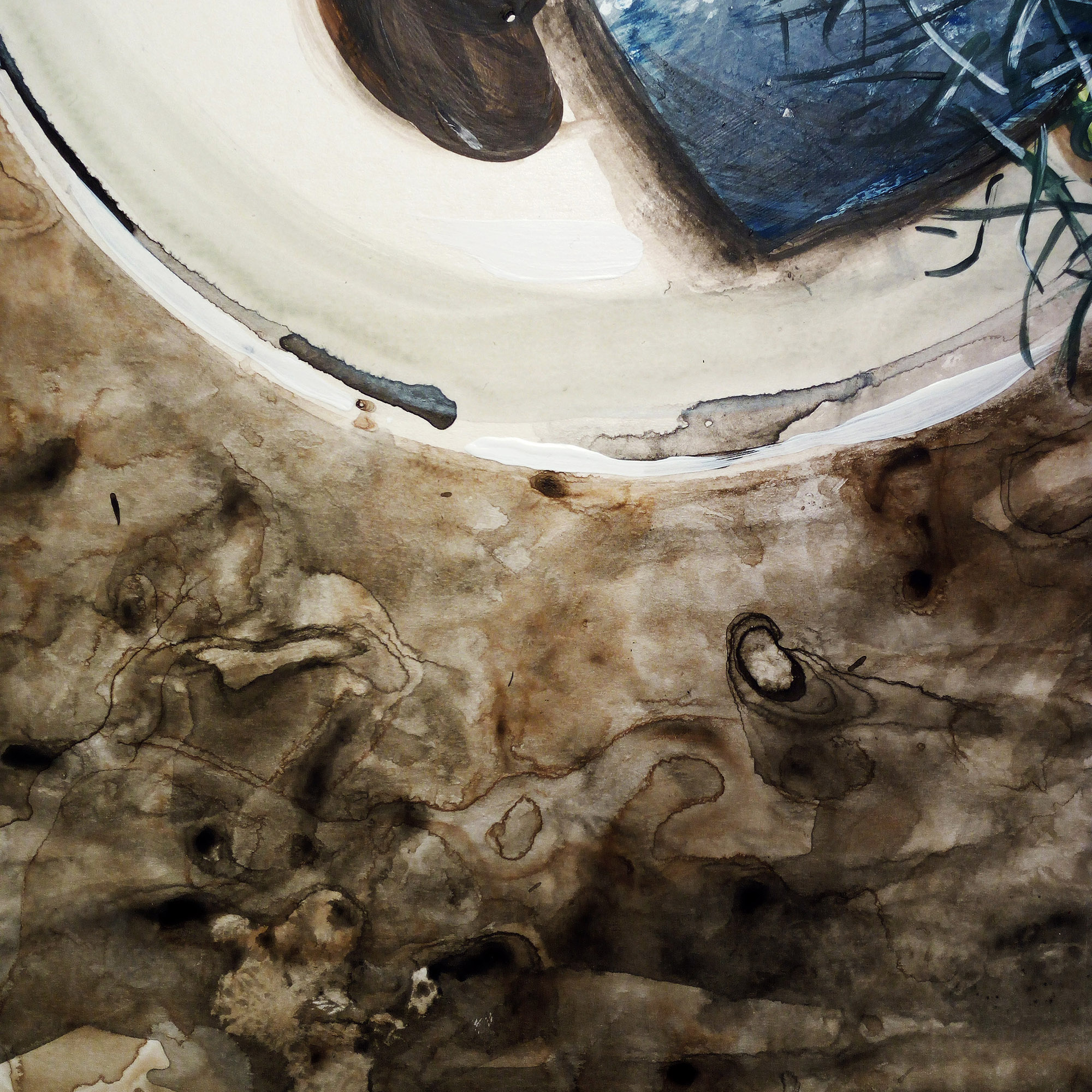 Piatto pesce carbon_1217_E