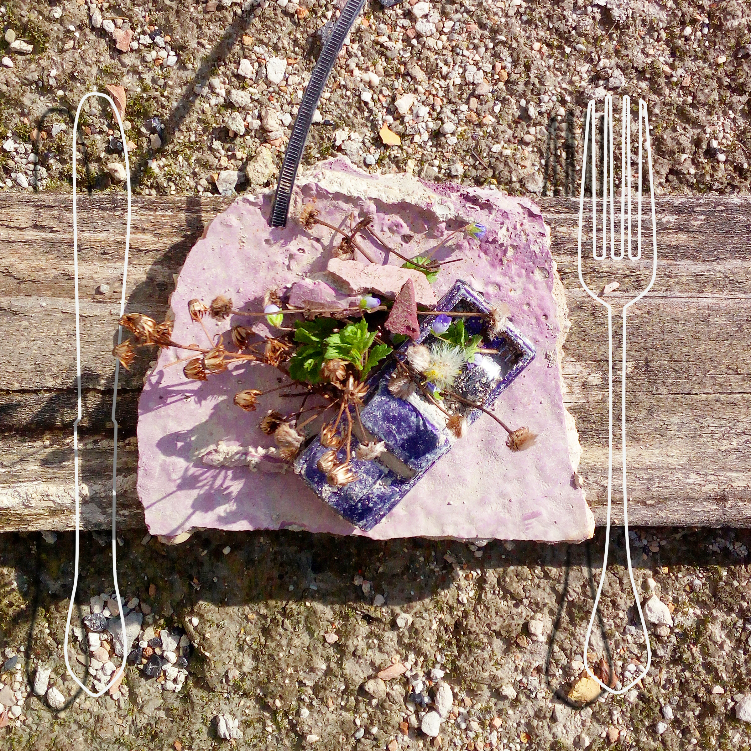 alta_cucina_in_discarica_IMG_20180211_115808_