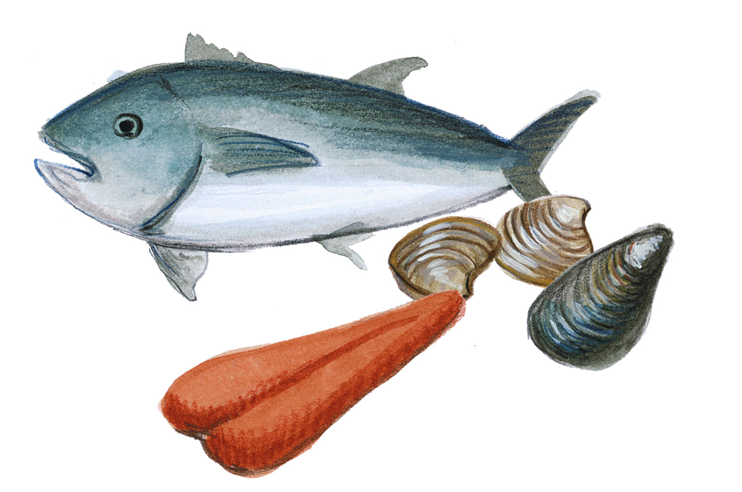 Sardegna mappa food 1