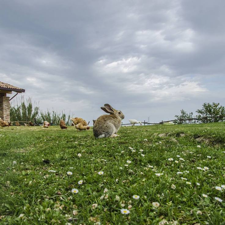 12986918_10209245973217279_5413938010795638995_n