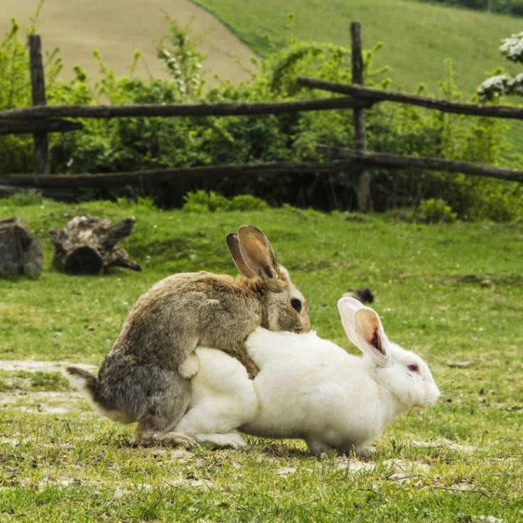 13062148_10209245972217254_5954696735870517474_n